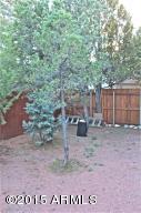 2119 Bluejay --, Overgaard, AZ 85933 photo 24