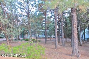 2119 Bluejay --, Overgaard, AZ 85933 photo 25
