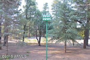 2119 Bluejay --, Overgaard, AZ 85933 photo 20