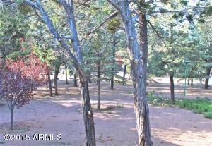2119 Bluejay --, Overgaard, AZ 85933 photo 19