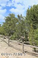 2119 Bluejay --, Overgaard, AZ 85933 photo 26