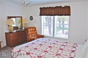 2119 Bluejay --, Overgaard, AZ 85933 photo 9