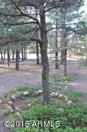 2119 Bluejay --, Overgaard, AZ 85933 photo 21