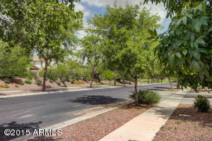 3933 E Melrose St, Gilbert, AZ 85297 photo 42