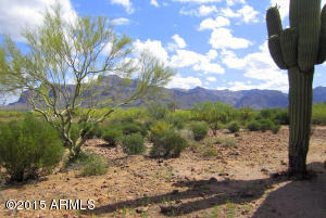 1634 S Prospectors Rd, Apache Junction, AZ 85119 photo 3