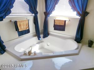 228 E Pinto Ct, Gilbert, AZ 85296 photo 24