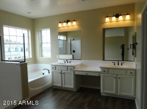 10429 E Nido Ave, Mesa, AZ 85209 photo 22