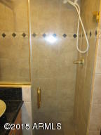 1252 E Halifax St, Mesa, AZ 85203 photo 29