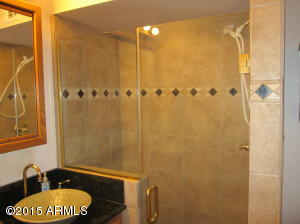 1252 E Halifax St, Mesa, AZ 85203 photo 28