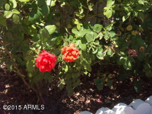2004 E Radcliffe Dr, Tempe, AZ 85283 photo 12