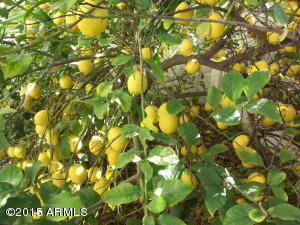 2004 E Radcliffe Dr, Tempe, AZ 85283 photo 7