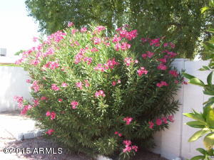 2004 E Radcliffe Dr, Tempe, AZ 85283 photo 14