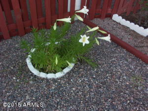 2004 E Radcliffe Dr, Tempe, AZ 85283 photo 18