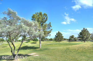 9915 E Natal Ave, Mesa, AZ 85209 photo 45