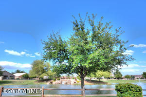 9915 E Natal Ave, Mesa, AZ 85209 photo 44