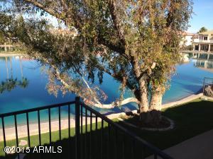 1446 W Commerce Ave, Gilbert, AZ 85233 photo 23