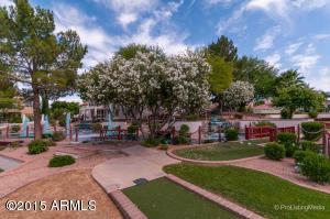 1446 W Commerce Ave, Gilbert, AZ 85233 photo 38