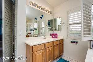 3906 E Fox Cir, Mesa, AZ 85205 photo 68