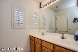 3906 E Fox Cir, Mesa, AZ 85205 photo 48