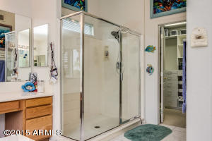3906 E Fox Cir, Mesa, AZ 85205 photo 70
