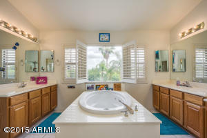3906 E Fox Cir, Mesa, AZ 85205 photo 67