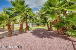 3906 E Fox Cir, Mesa, AZ 85205 photo 81