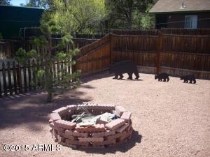 2054 Wilderness Dr, Overgaard, AZ 85933 photo 23