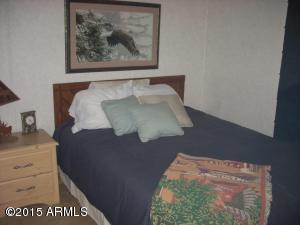 2054 Wilderness Dr, Overgaard, AZ 85933 photo 21