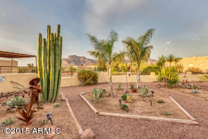2337 S Geronimo Rd, Apache Junction, AZ 85119 photo 48