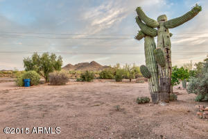 2337 S Geronimo Rd, Apache Junction, AZ 85119 photo 57