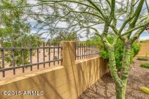 8654 E Ivy St, Mesa, AZ 85207 photo 52