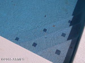810 W Sequoia Dr, Phoenix, AZ 85027 photo 9