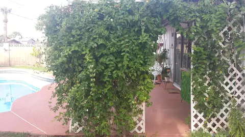 516 E Papago Dr, Tempe, AZ 85288 photo 33
