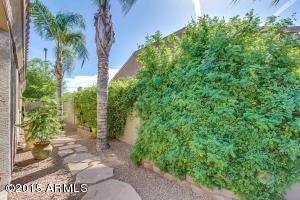 1005 E Stottler Ct, Gilbert, AZ 85296 photo 21