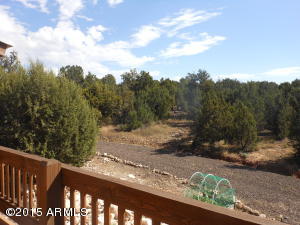 3253 Alkire Rd, Overgaard, AZ 85933 photo 5