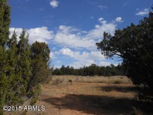 3253 Alkire Rd, Overgaard, AZ 85933 photo 46