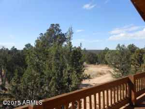 3253 Alkire Rd, Overgaard, AZ 85933 photo 55