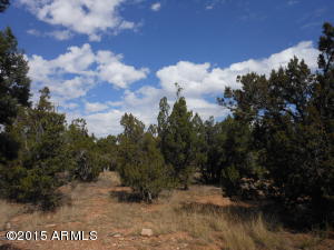 3253 Alkire Rd, Overgaard, AZ 85933 photo 45