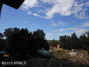 3253 Alkire Rd, Overgaard, AZ 85933 photo 48