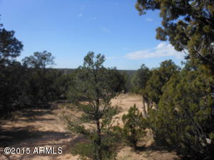 3253 Alkire Rd, Overgaard, AZ 85933 photo 53
