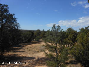 3253 Alkire Rd, Overgaard, AZ 85933 photo 52