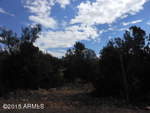 3253 Alkire Rd, Overgaard, AZ 85933 photo 49