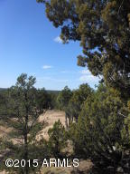 3253 Alkire Rd, Overgaard, AZ 85933 photo 57