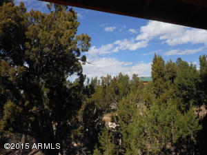 3253 Alkire Rd, Overgaard, AZ 85933 photo 56