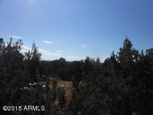 3253 Alkire Rd, Overgaard, AZ 85933 photo 58