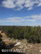3253 Alkire Rd, Overgaard, AZ 85933 photo 50