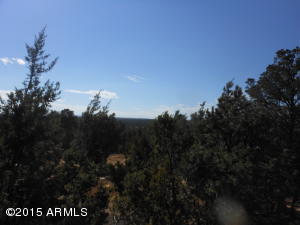 3253 Alkire Rd, Overgaard, AZ 85933 photo 51