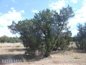 3253 Alkire Rd, Overgaard, AZ 85933 photo 47