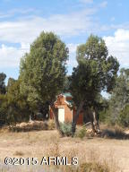3253 Alkire Rd, Overgaard, AZ 85933 photo 40