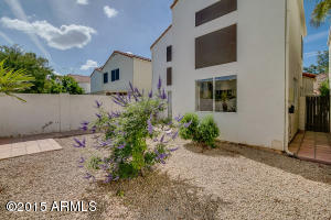 2338 E Gelding Dr, Phoenix, AZ 85022 photo 38